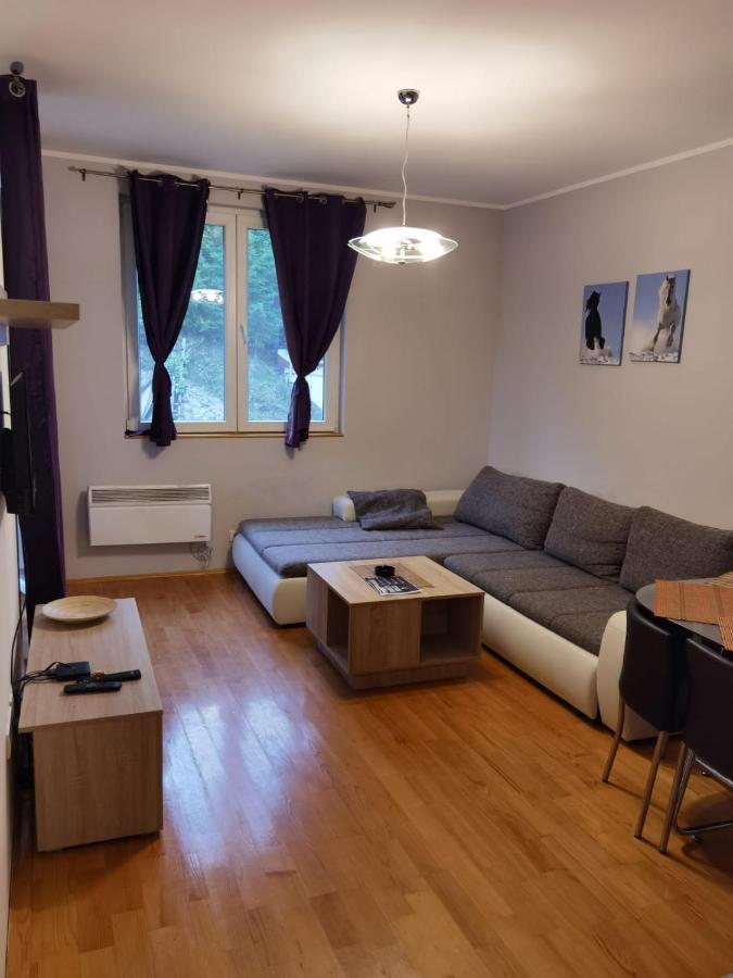 Apartments Foka & Spa - 600M From Gondola Ski Lift 카파오닉 외부 사진