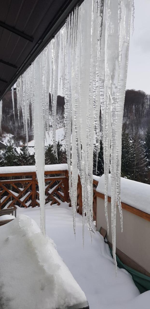 Apartments Foka & Spa - 600M From Gondola Ski Lift 카파오닉 외부 사진